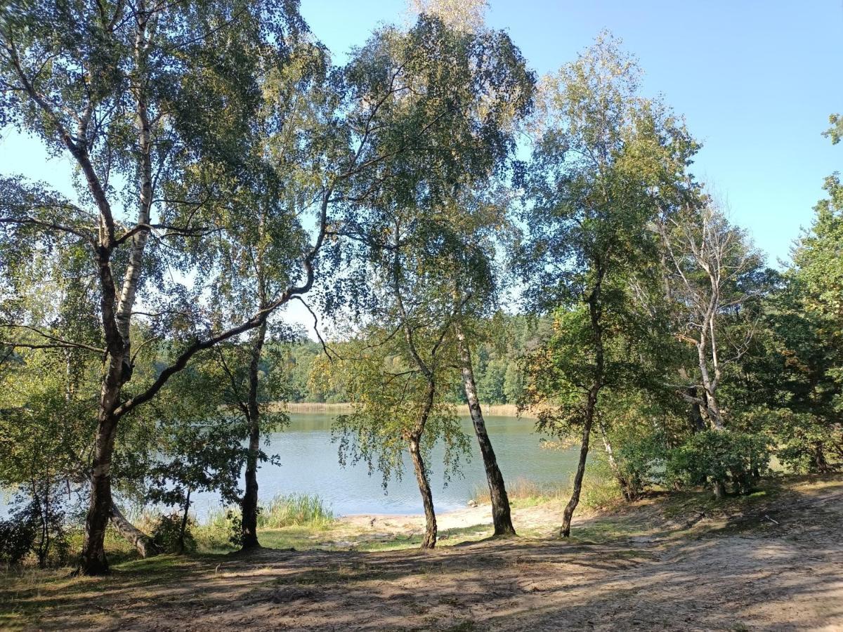 Smocze Ranczo 2 Holiday home Osno Lubuskie